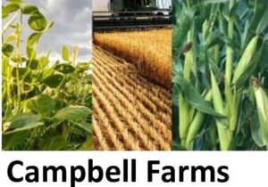 Campbell Farms